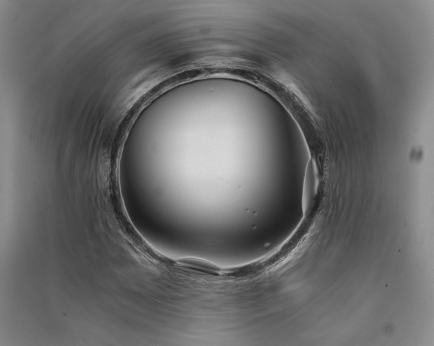 X0000091521065200708171212