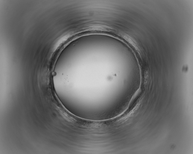 X0000091521067200708171212
