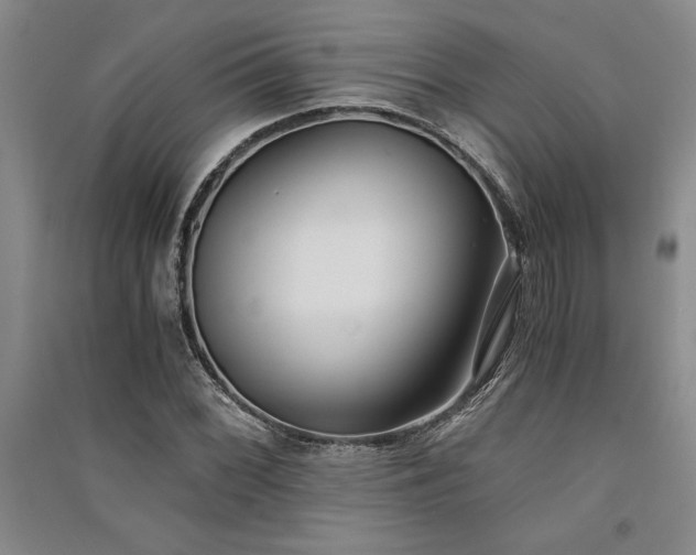 X0000091521068200708171212