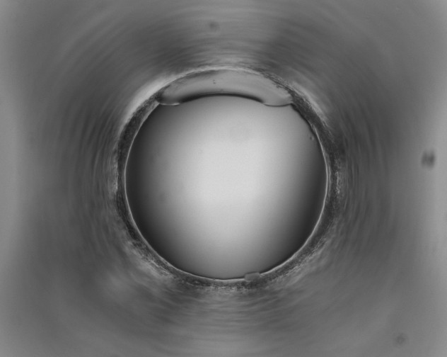 X0000091521069200708171212