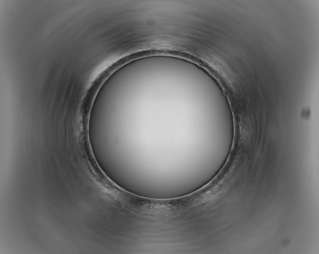 X0000091521070200708171212