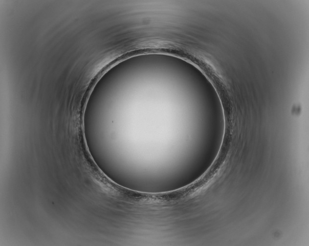 X0000091521073200708171212