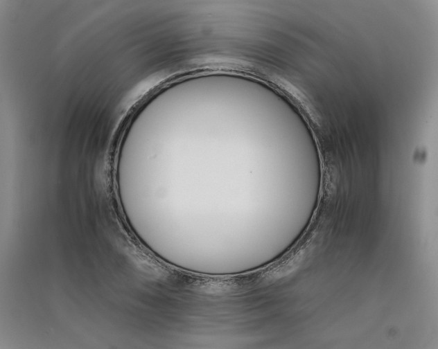 X0000091521074200708171212