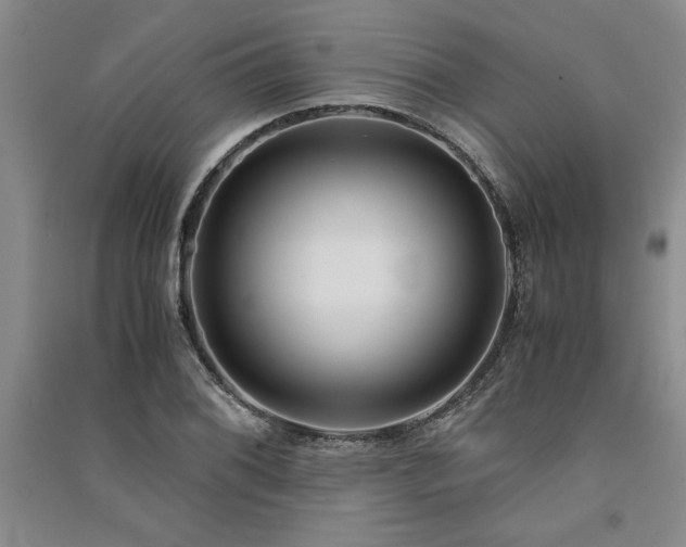 X0000091521076200708171212
