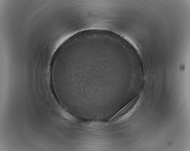 X0000091521077200708171212
