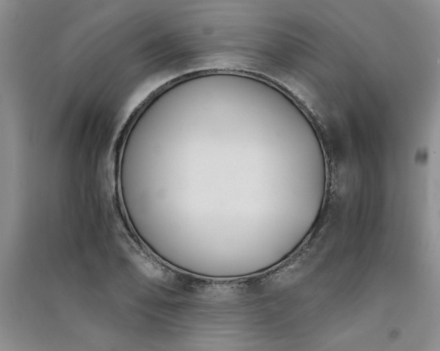X0000091521078200708171212