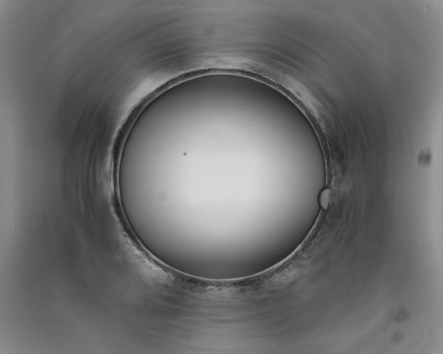 X0000091521080200708171212