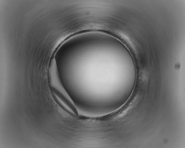 X0000091521081200708171212