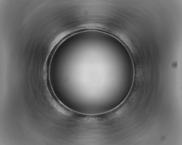 X0000091521082200708171212