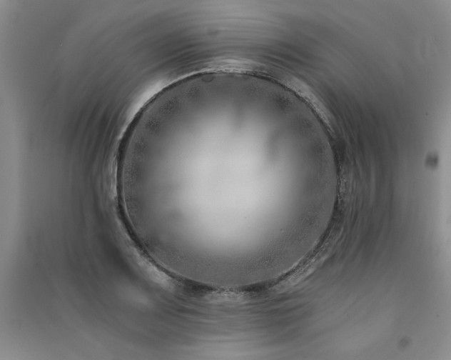 X0000091521083200708171212