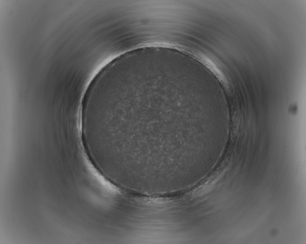 X0000091521084200708171212