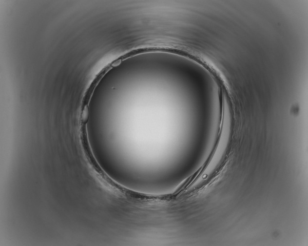 X0000091521085200708171212