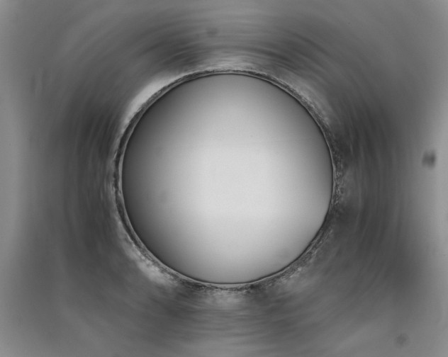 X0000091521086200708171212