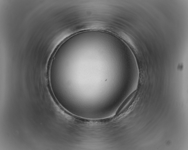 X0000091521087200708171212