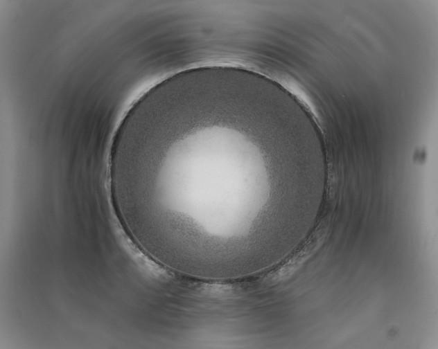 X0000091521088200708171212