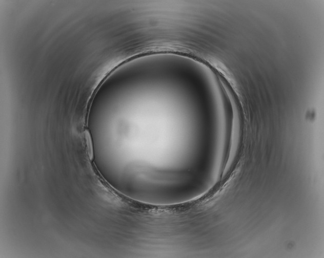 X0000091521089200708171212