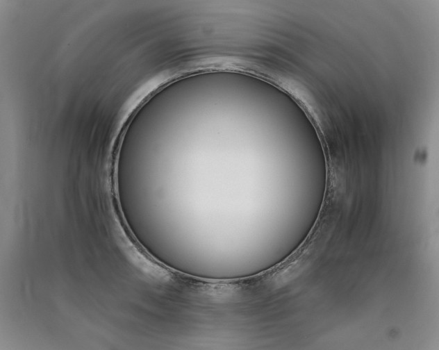 X0000091521090200708171212