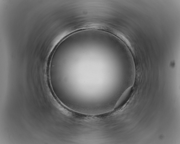 X0000091521091200708171212