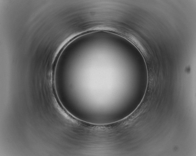 X0000091521092200708171212