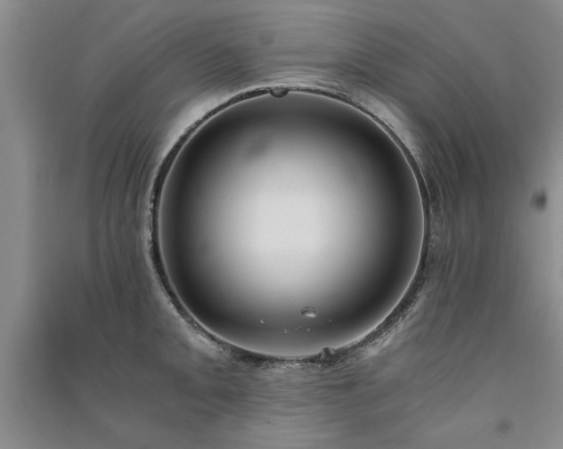 X0000091521093200708171212