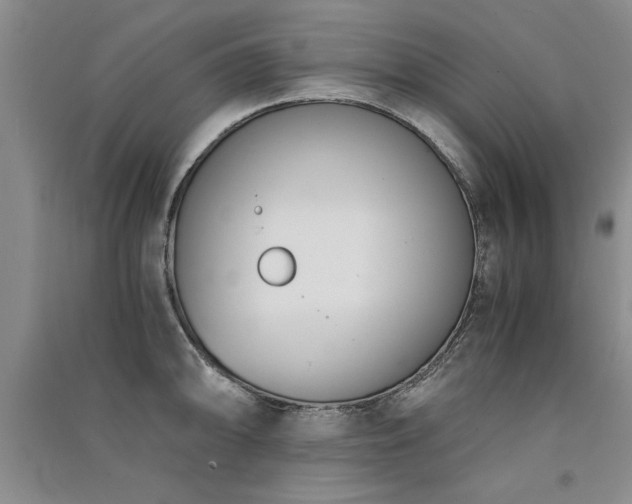 X0000091521094200708171212