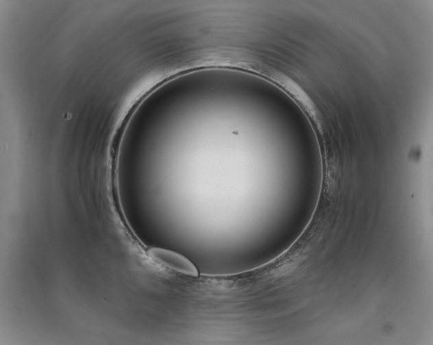 X0000091521096200708171212