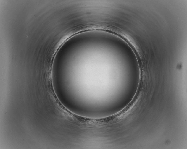 X0000091521097200708171212