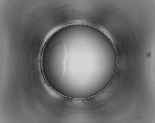 X0000091521098200708171212