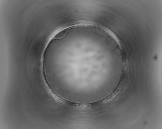 X0000091521099200708171212