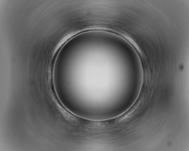 X0000091521101200708171211
