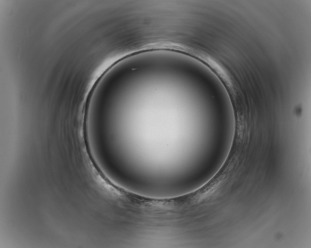 X0000091521102200708171211