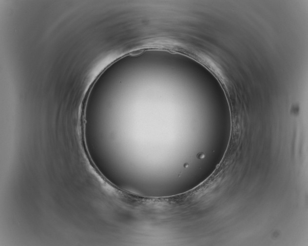X0000091521103200708171211