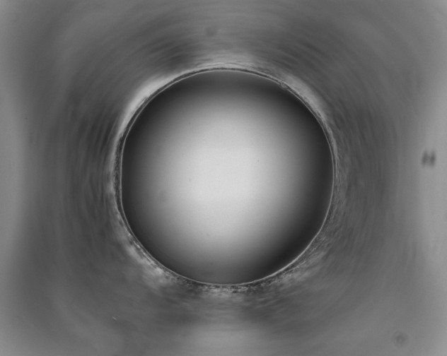X0000091521104200708171211