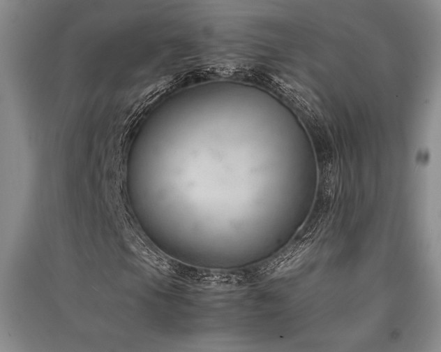 X0000091521105200708171211