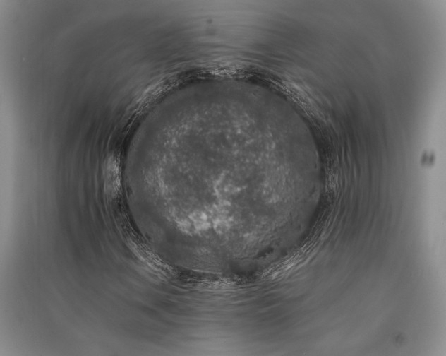 X0000091521106200708171211