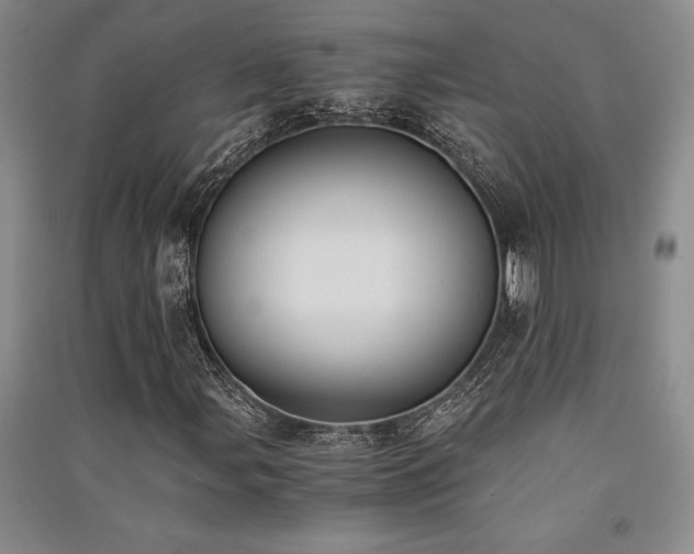 X0000091521107200708171211