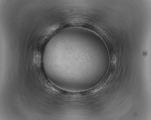 X0000091521108200708171211
