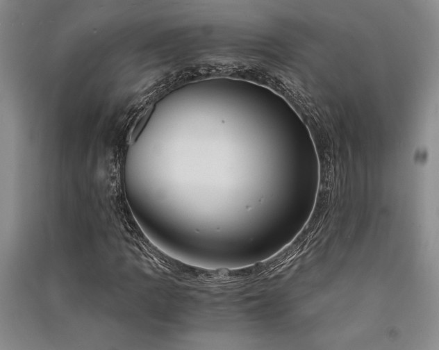 X0000091521109200708171211