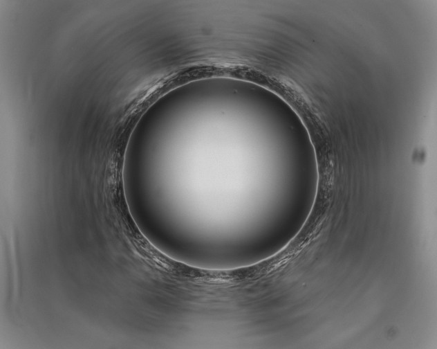 X0000091521110200708171211