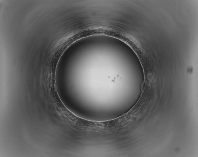 X0000091521111200708171211
