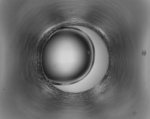X0000091521112200708171211