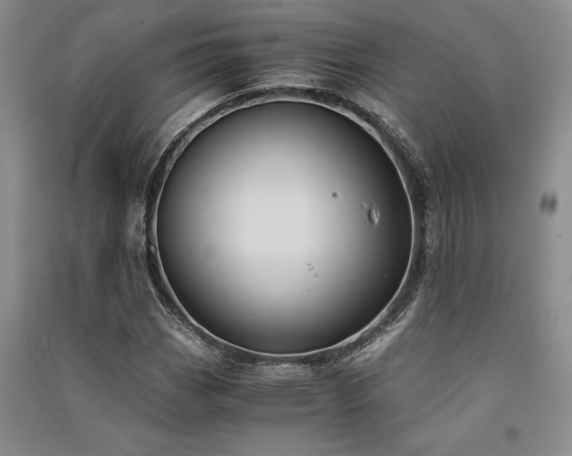 X0000091521113200708171211