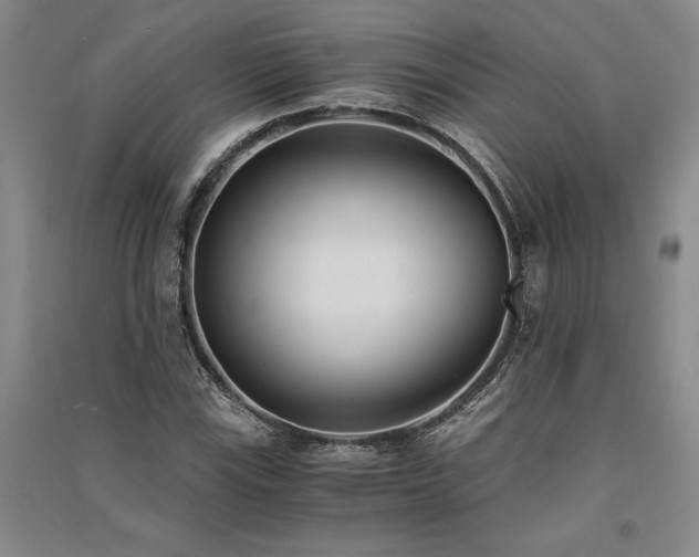 X0000091521115200708171211
