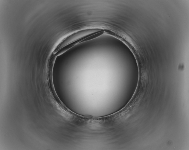 X0000091521116200708171211