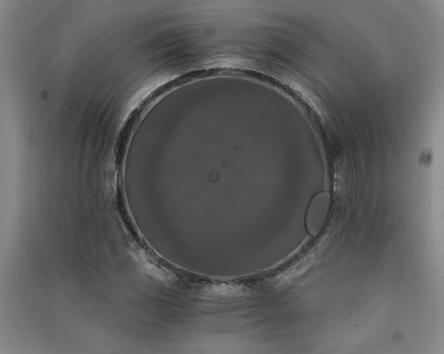 X0000091521117200708171211