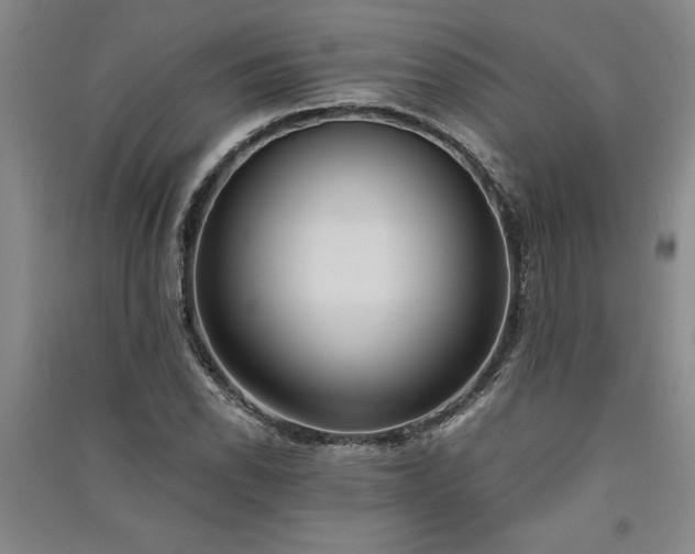X0000091521118200708171211