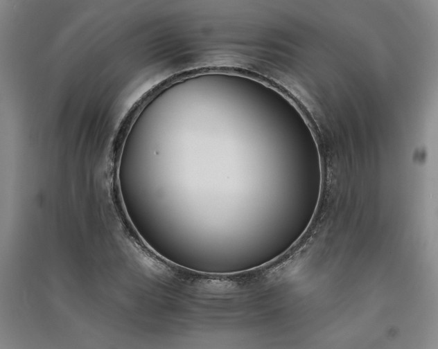 X0000091521119200708171211