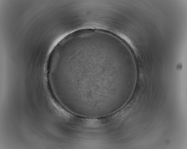 X0000091521120200708171211