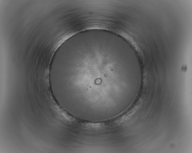 X0000091521121200708171211