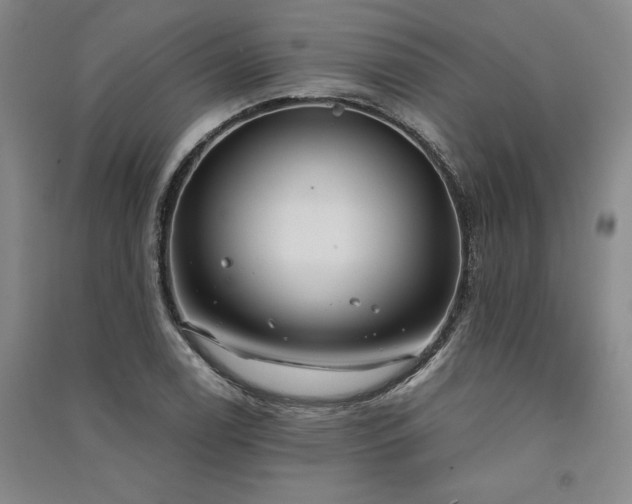 X0000091521122200708171211